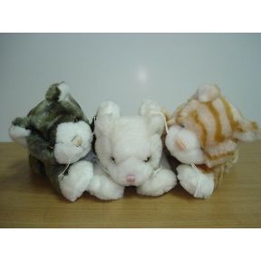 Plush kittens