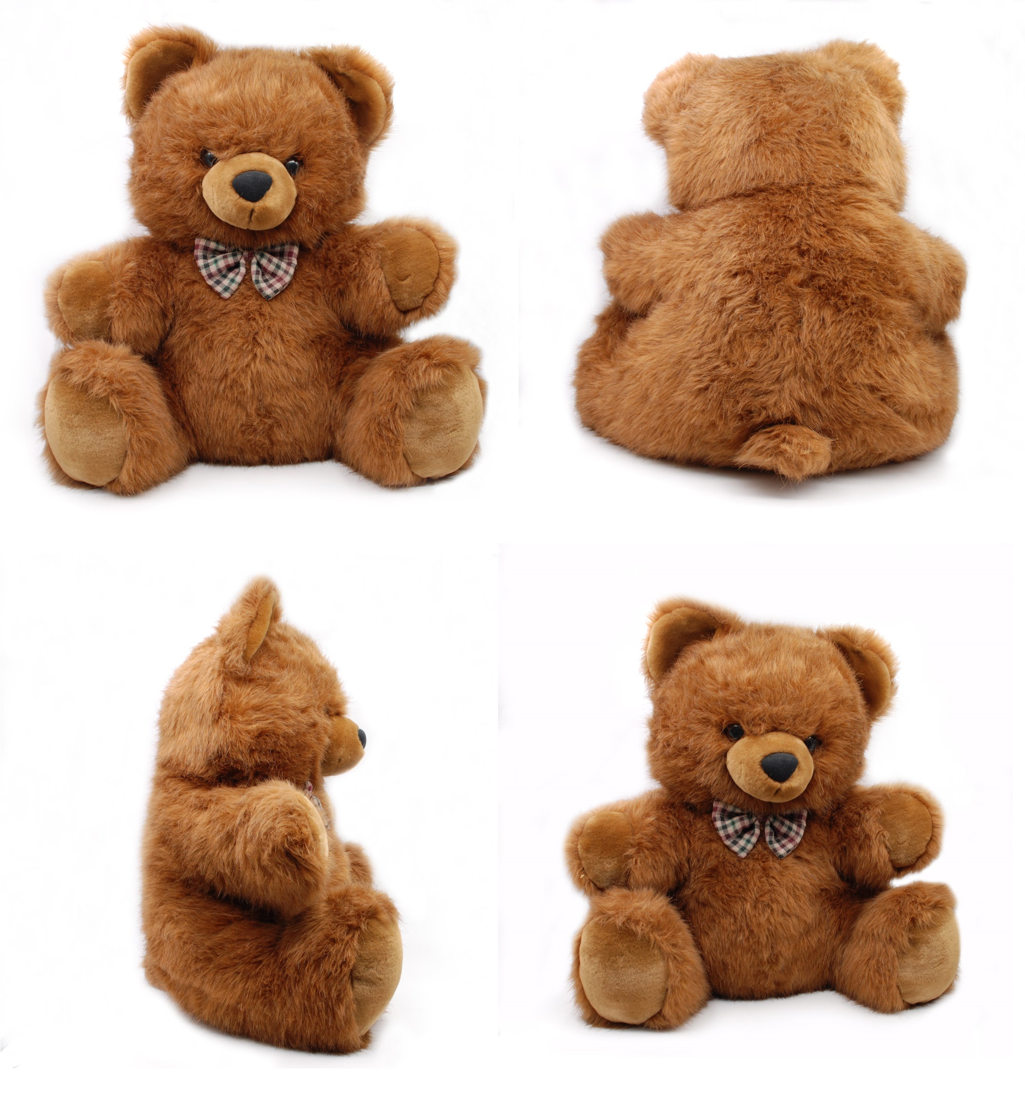 Bear Big Brown