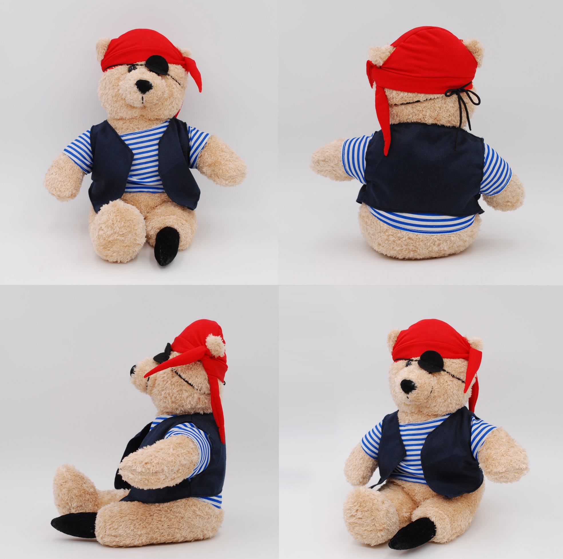 Bear Pirate 2