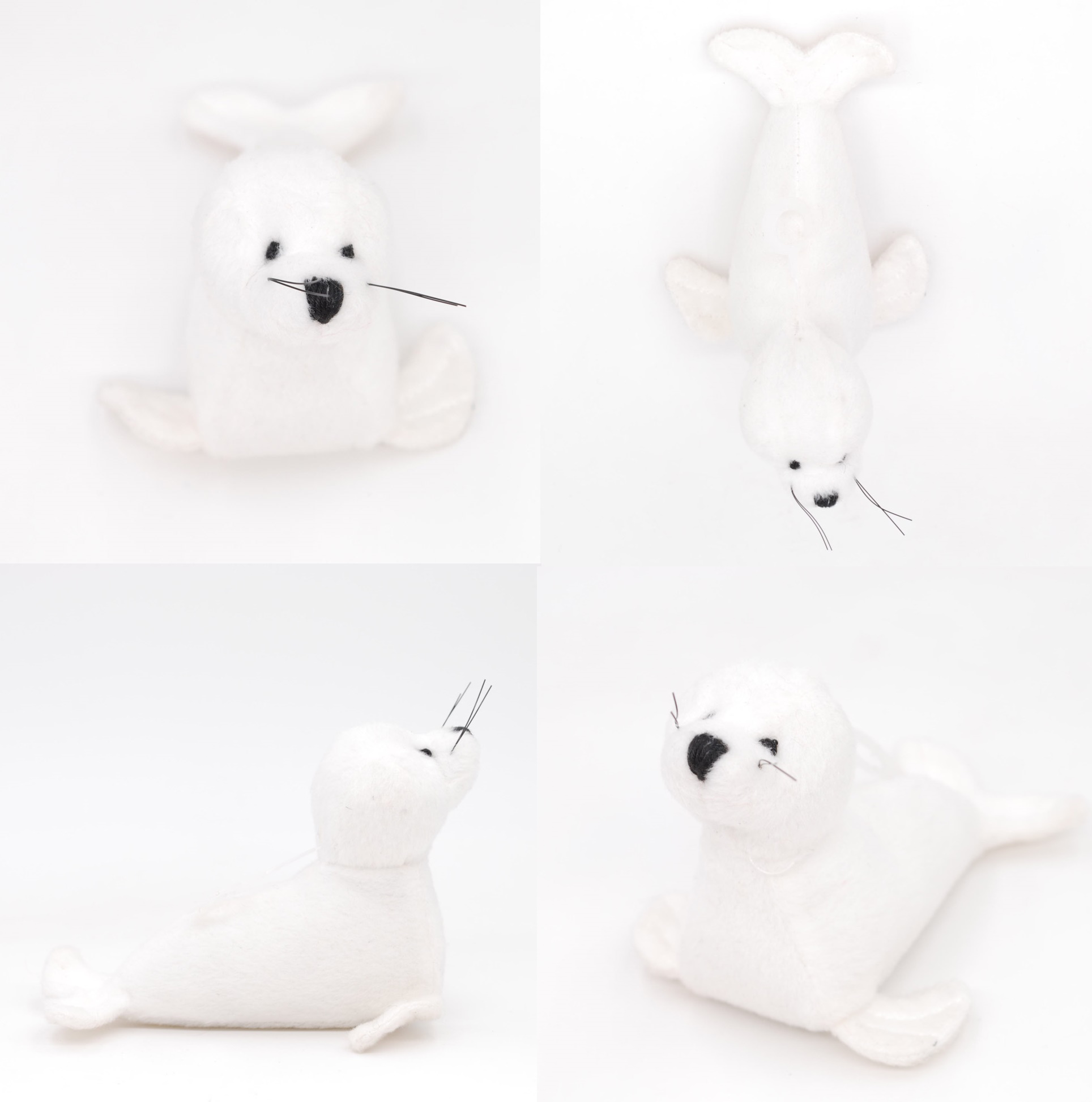Seal 1 - Sea Animals