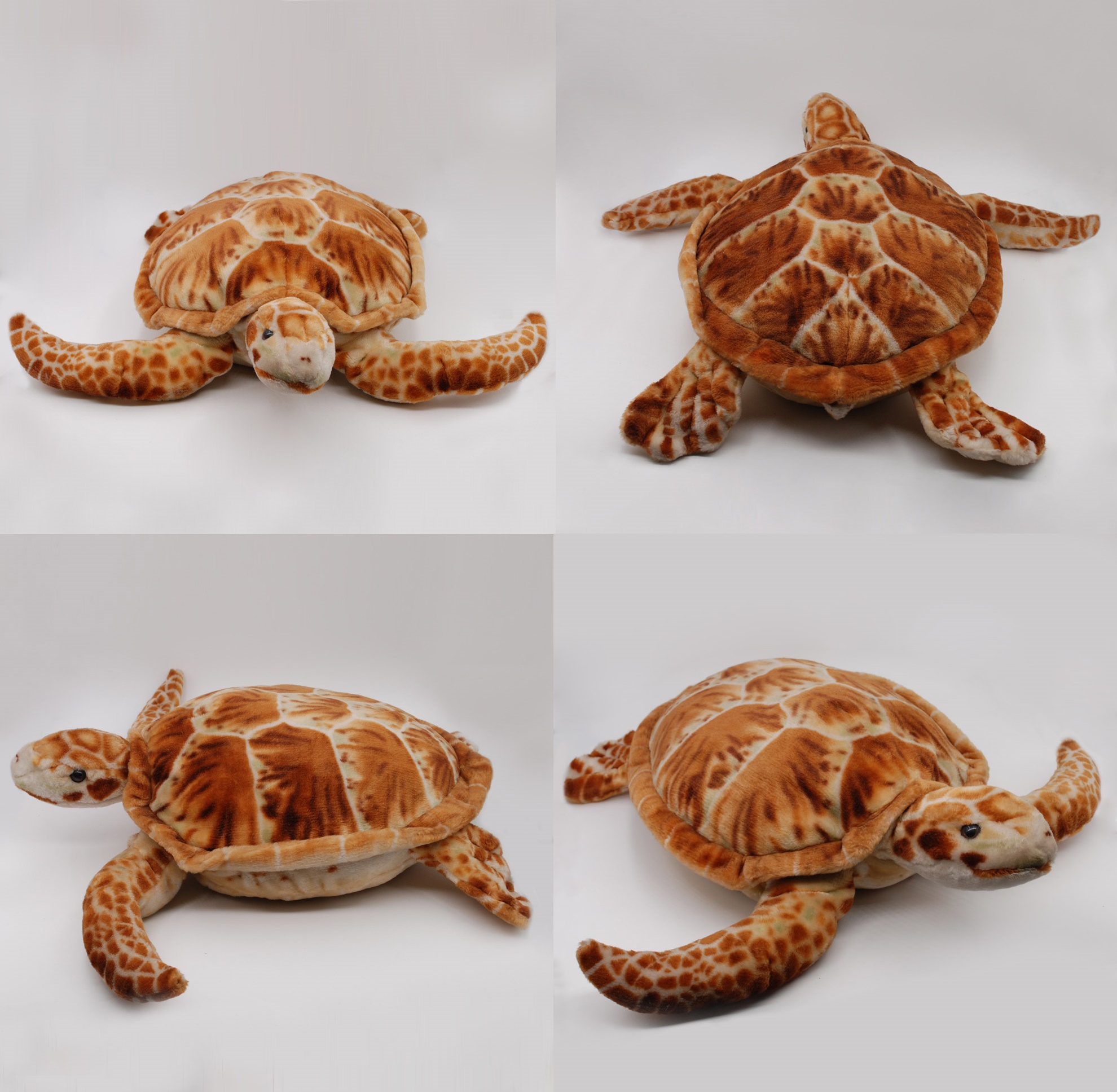 Turtle 1 - Sea Animals